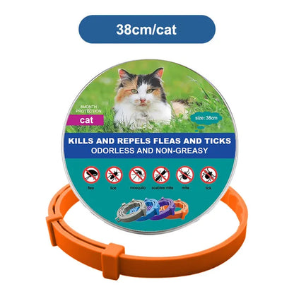 Petguard Flea & Tick Collar