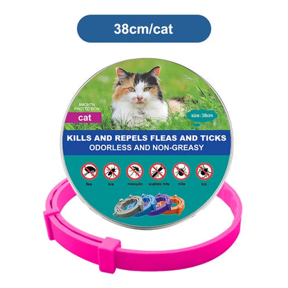 Petguard Flea & Tick Collar